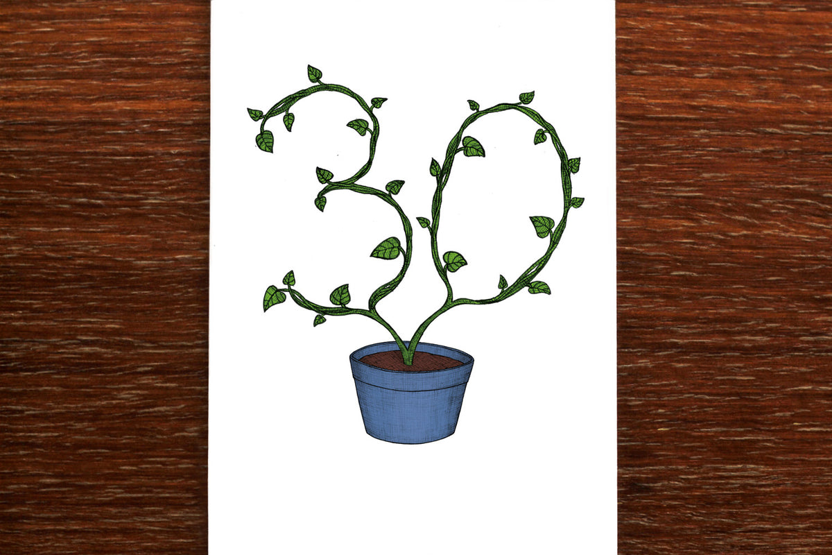Thirtieth Birthday Plant - 30th Birthday Card