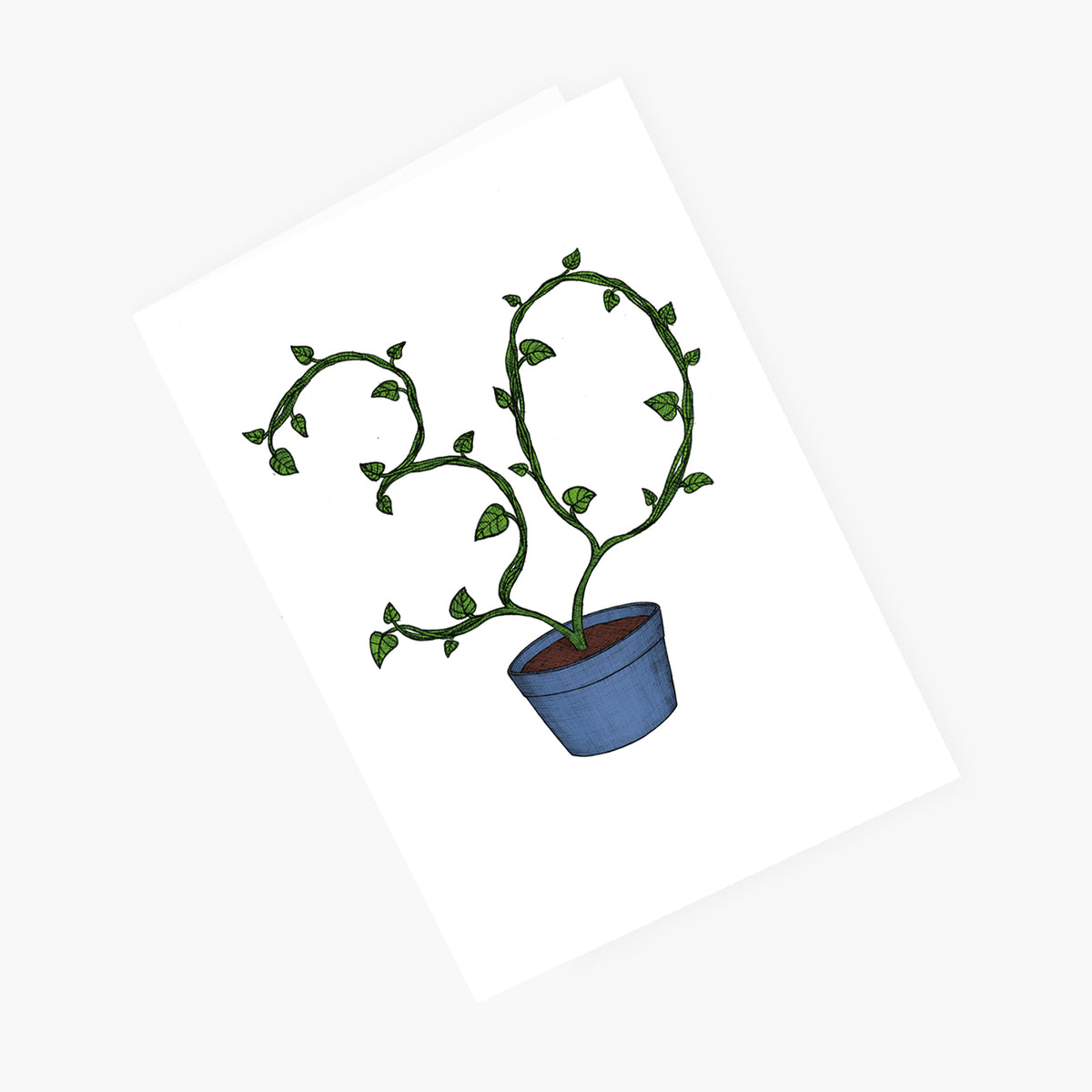 Thirtieth Birthday Plant - 30th Birthday Card