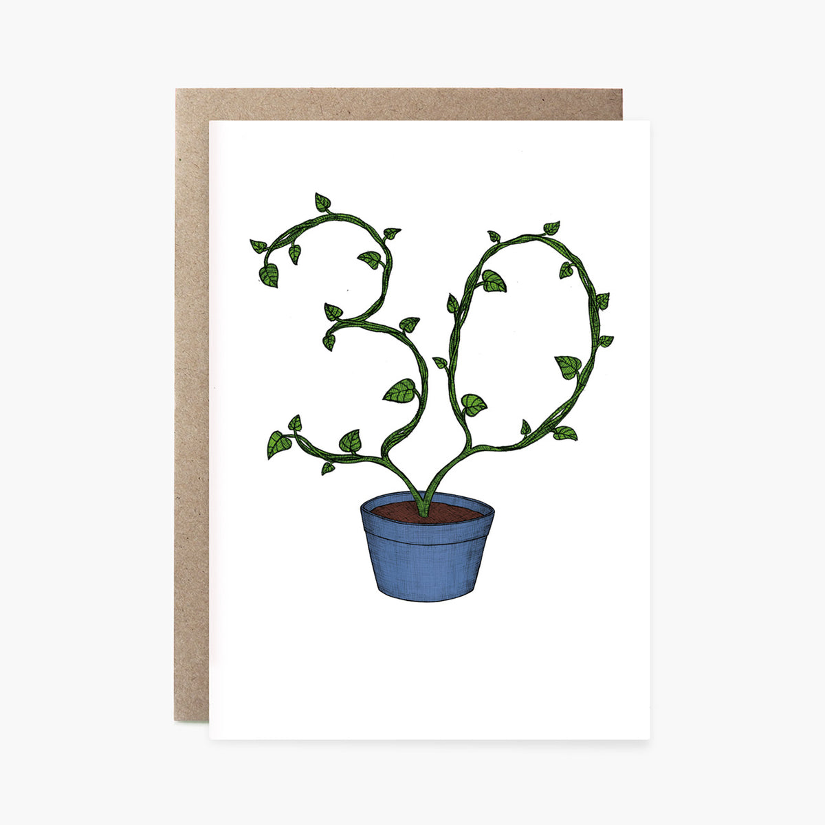 Thirtieth Birthday Plant - 30th Birthday Card