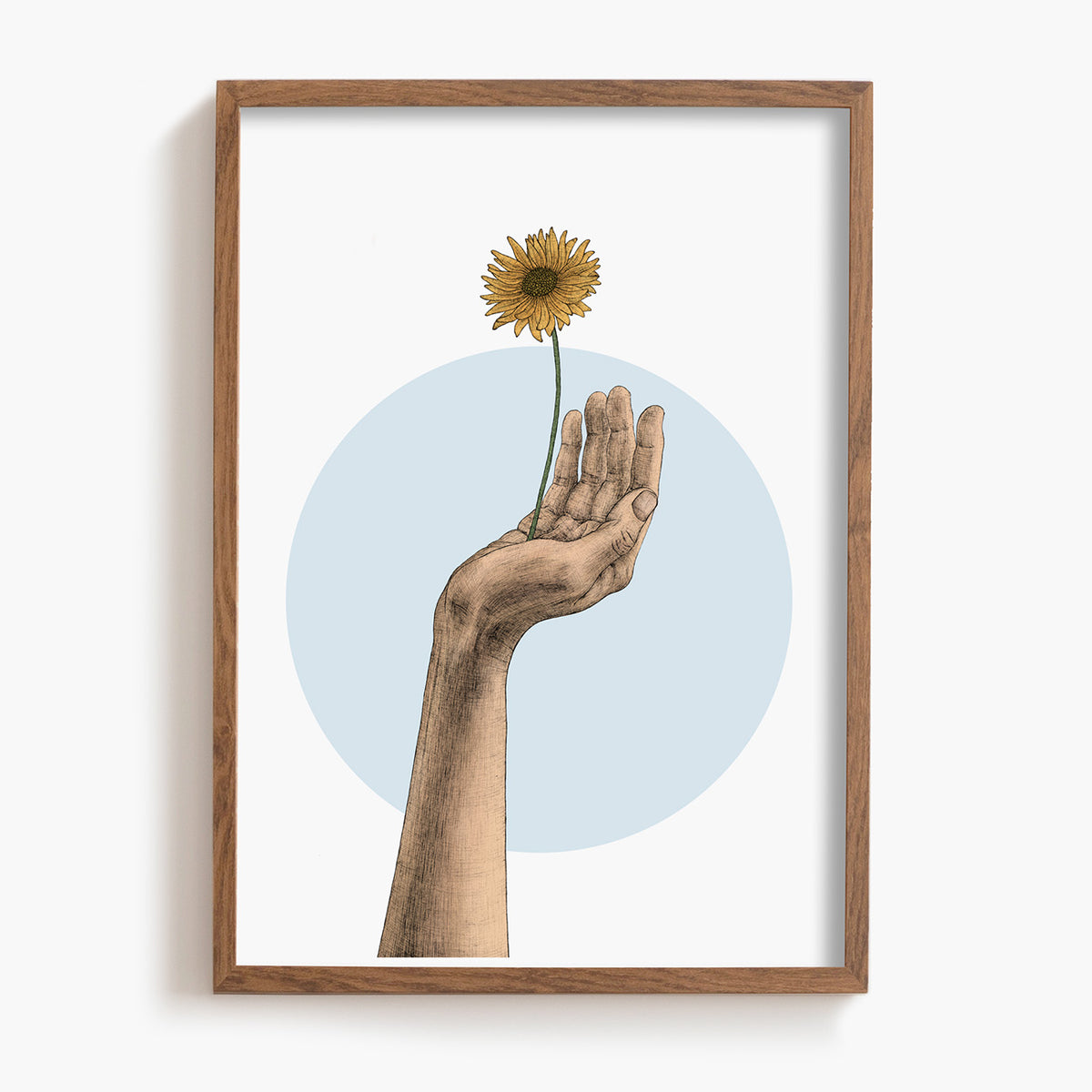 Framed artwork of a hand holding a sunflower against a light blue circle on a white background