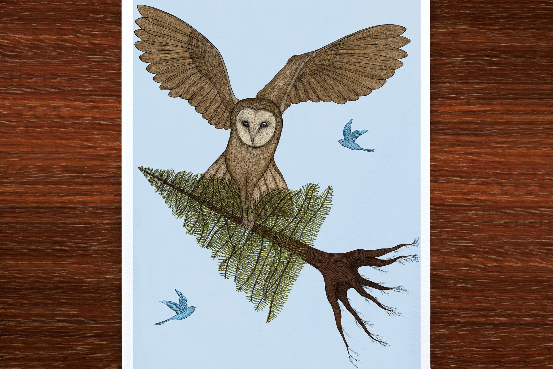 Owl in Flight - Art Print