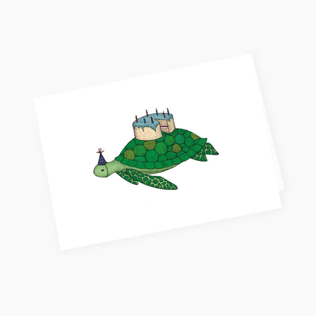Birthday Turtle - Happy Birthday Card