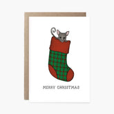 Possum Stocking - Christmas Card
