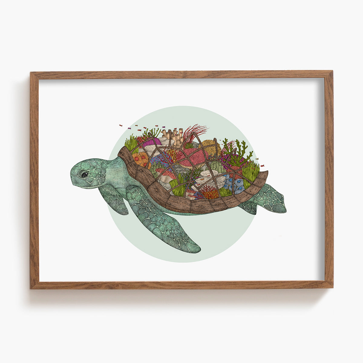 The Coral Reef Turtle - Animal Art Print