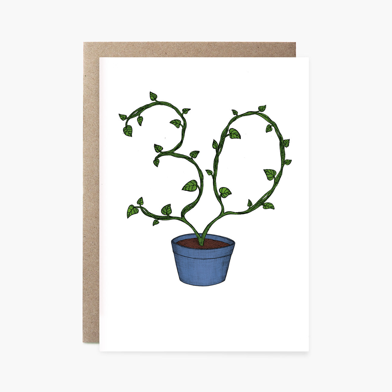 Thirtieth Birthday Plant - 30th Birthday Card