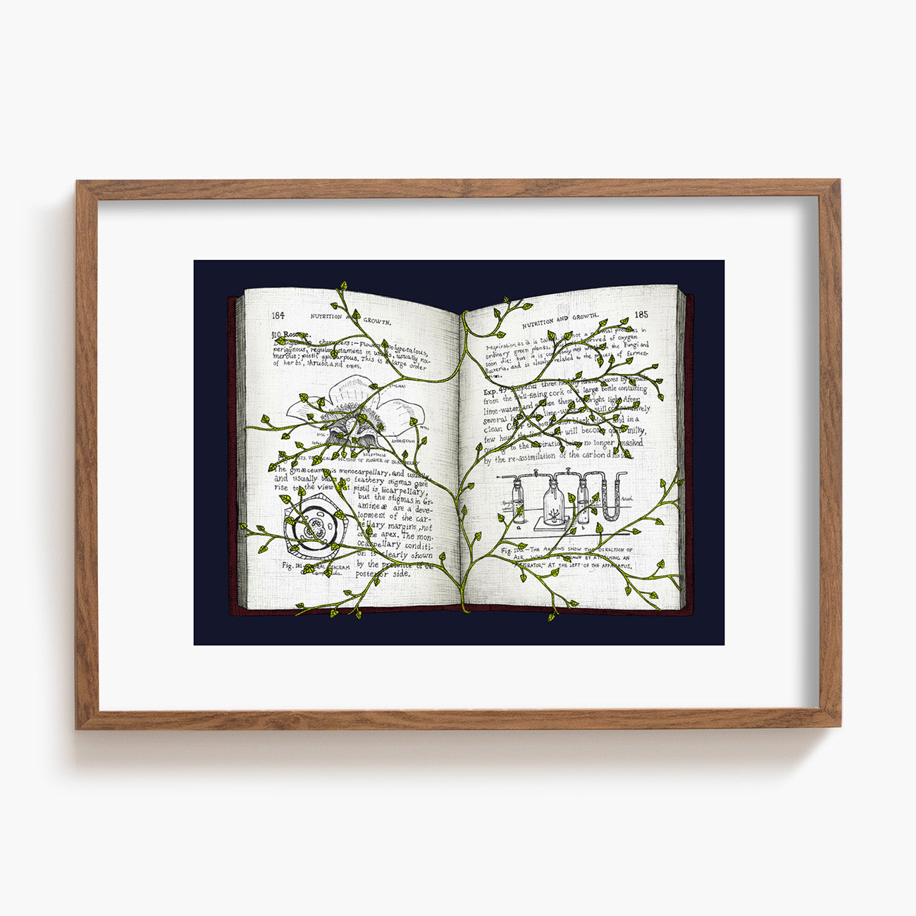 Overgrown Stories - Art Print