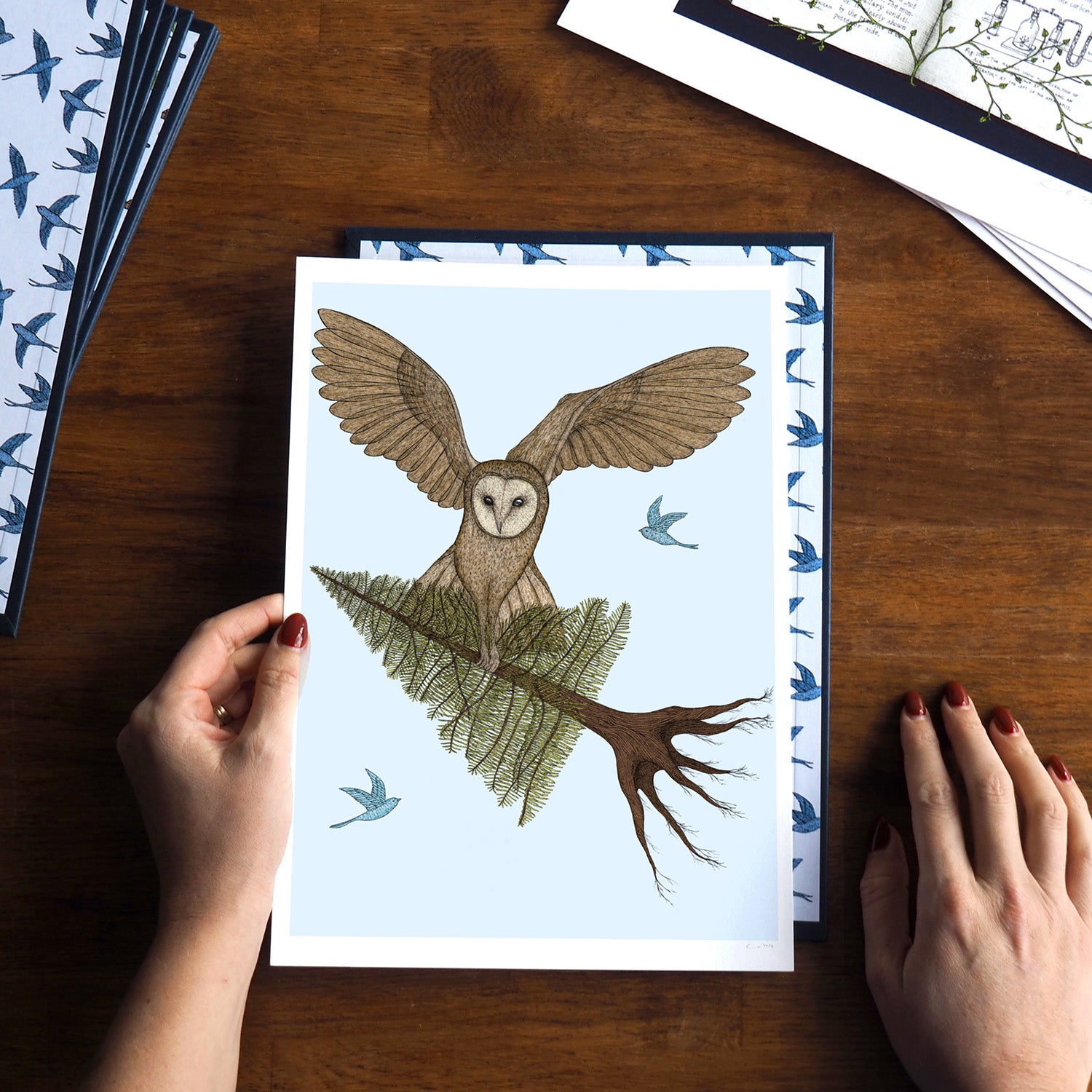 Owl in Flight - Art Print