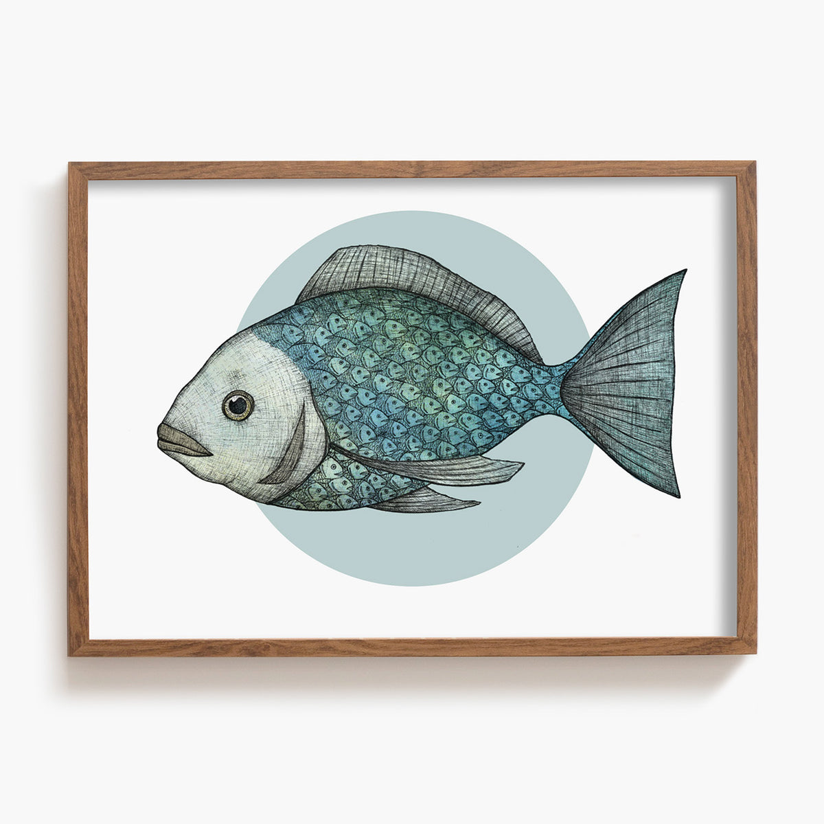 Framed artwork of a fish with a wooden frame on a white background