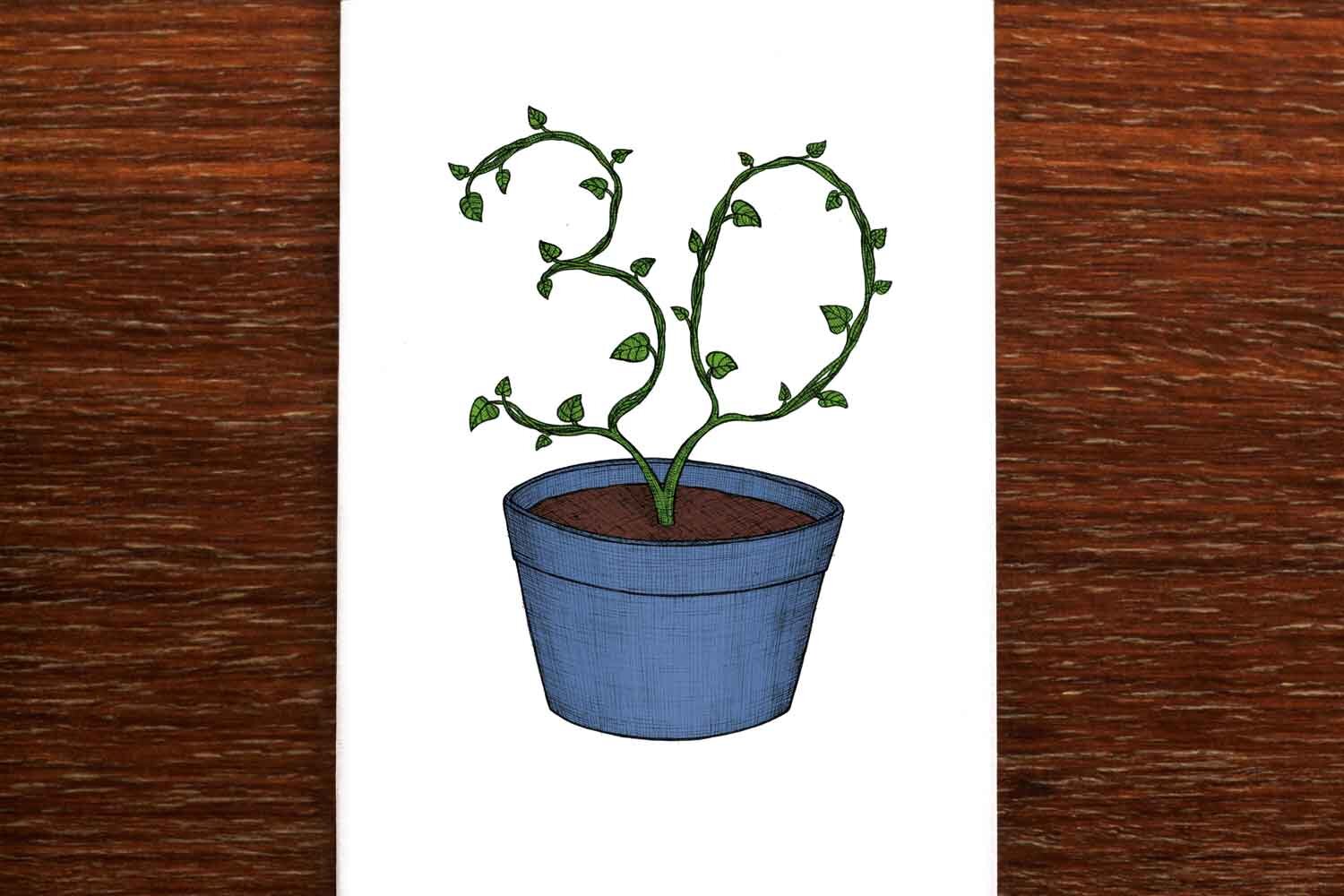 Thirtieth Birthday Plant - 30th Birthday Card