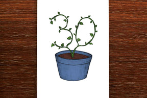 Thirtieth Birthday Plant - 30th Birthday Card